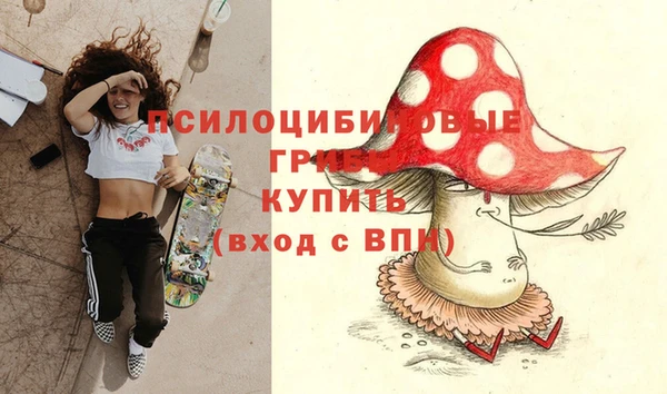 прущий лед Каменногорск