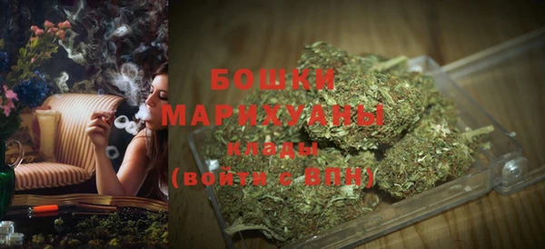 ALPHA-PVP Каменка