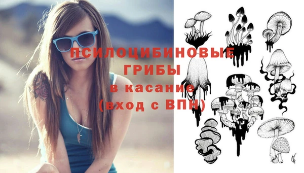 MDMA Premium VHQ Каменск-Шахтинский