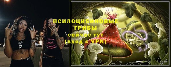 MDMA Premium VHQ Каменск-Шахтинский